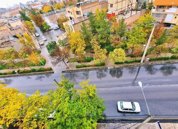 عکس بارانی مشهد