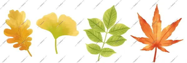 عکس تصاویر پاپیون نقاشی