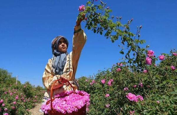 عکس پیراهن طراحی