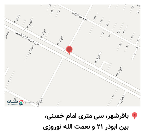 عکس کفش یاس