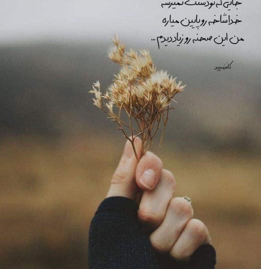 عکس اکسسوری برای پروفایل