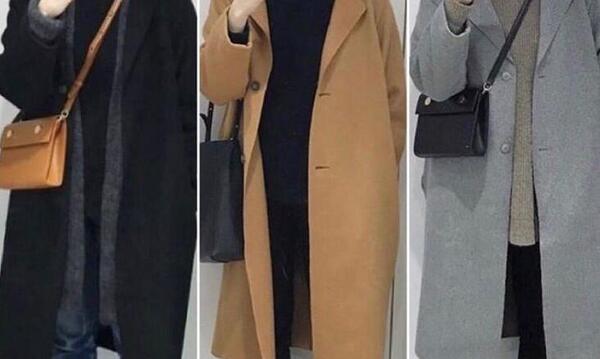 عکس پالتو مجلسی