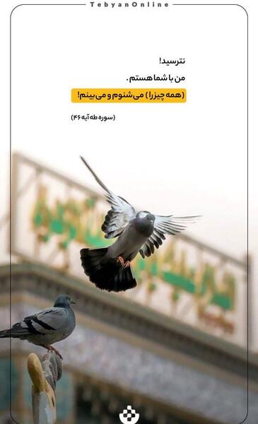 عکس غروب بارانی