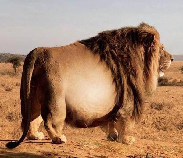 عکس باران و گل نرگس