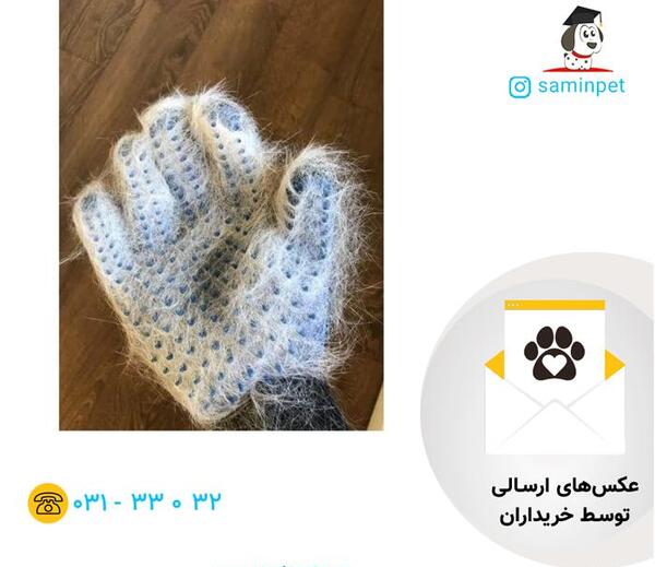 عکس دستکش سگ