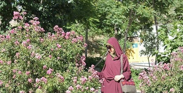 عکس چادر رنگی