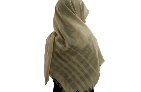 عکس شال شمالی