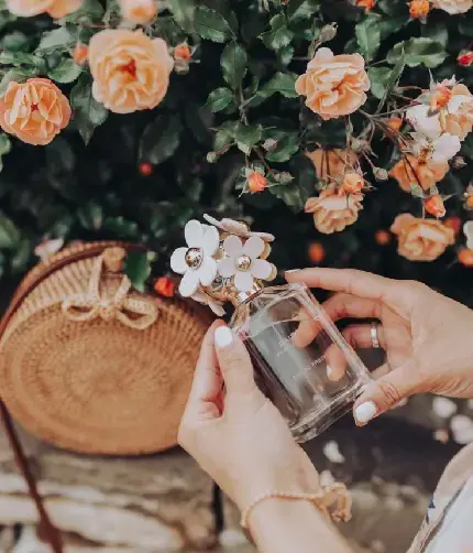 عکس عطر شیشه ای
