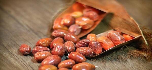 عکس سنجد