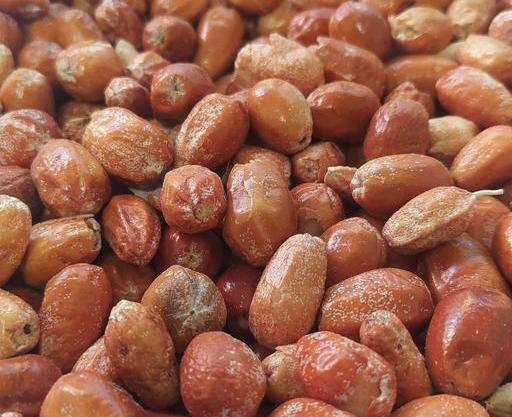 عکس سنجد