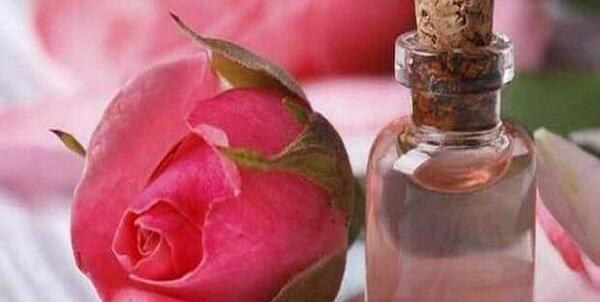 عکس عطر گل رز