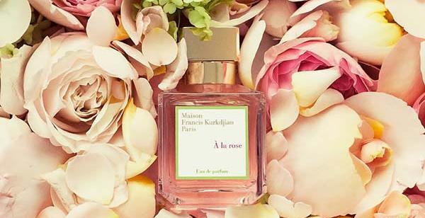 عکس عطر گل رز