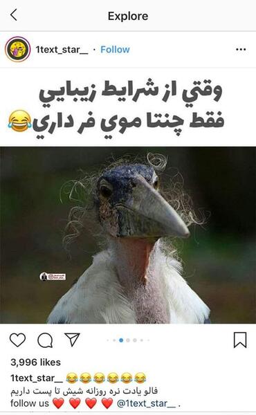 عکس عکس نی نی سایت
