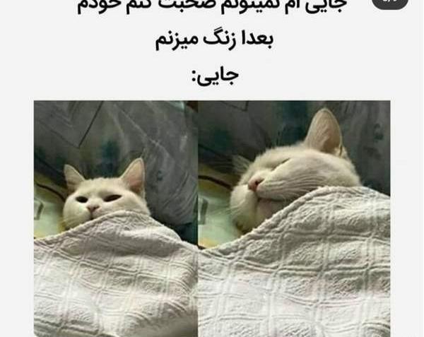 عکس سوتی مستی نی نی سایت