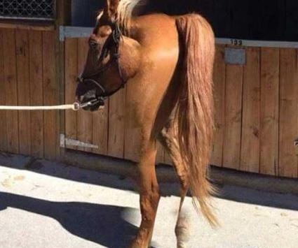 عکس نی نی سایت سوتی خنده دار