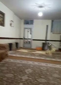 عکس عروس هلندی ماده طوسی