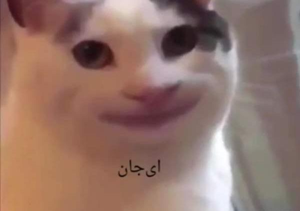 عکس سوتی شوهرتون نی نی سایت