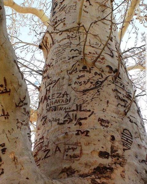 ترسناک ترین عکسهای دنیا