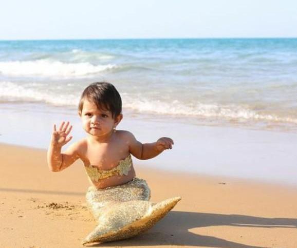 عکس سگ پری دریایی