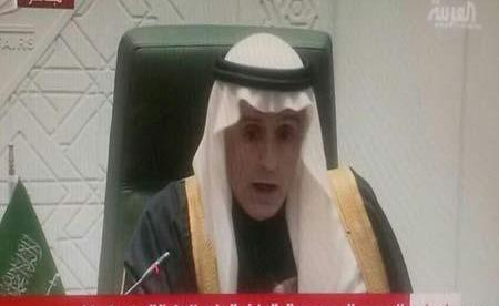 عکس سگ پری دریایی