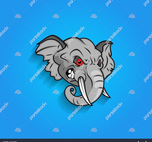 عکس فیل عصبانی