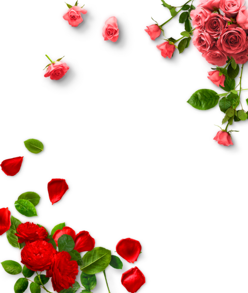 عکس کیوت خام برای ادیت