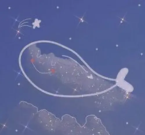 عکس کیوت اکلیلی ویسگون