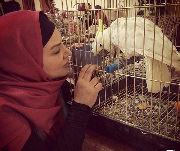 عکس تصاویر شهره لرستانی جدید