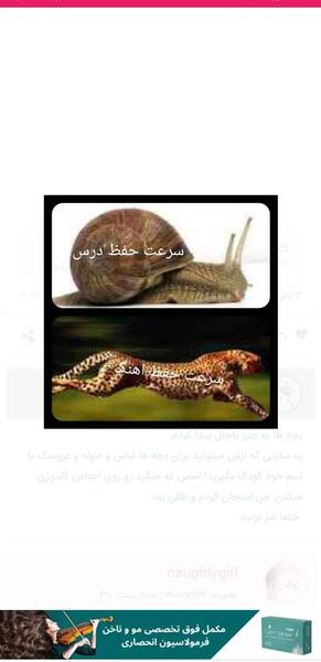 عکس سوتی مسافرت نی نی سایت