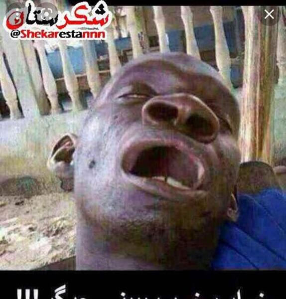 عکس سوتی مسافرت نی نی سایت