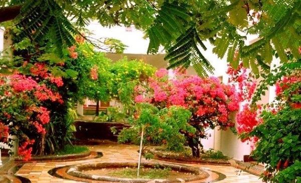 عکس های هتل فلامینگو کیش