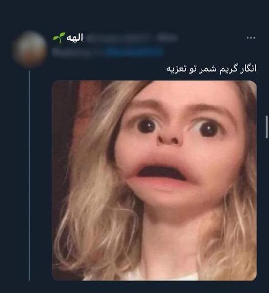 عکس فان نی نی سایت