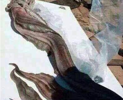عکس پری دریایی در چابهار