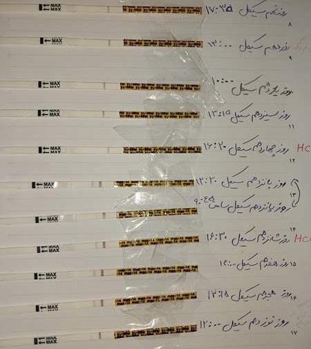 عکس کیت تخمک گذاری مثبت نی نی سایت