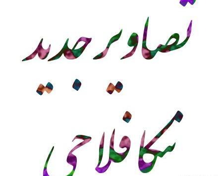 عکس پرحاشیه نیکا فلاحی