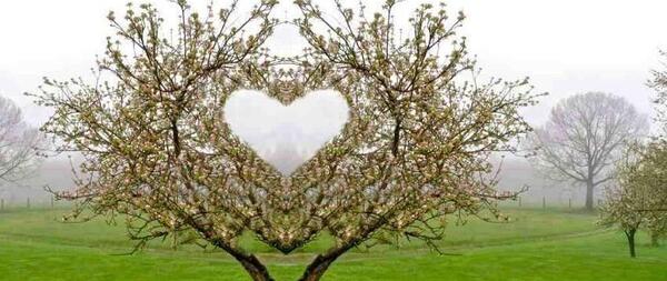 عکس های طبیعی
