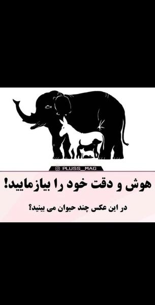 معمای عکس فیل چند حیوان میبینید