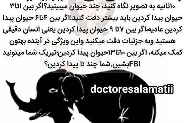 معمای عکس فیل چند حیوان میبینید
