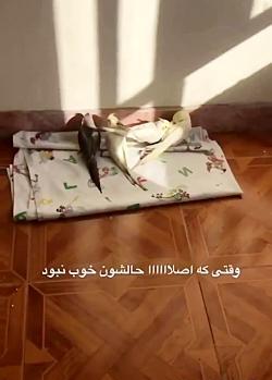 عکس عروس هلندی عصبانی