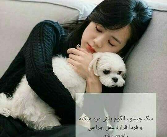 عکس جیسو و سگش