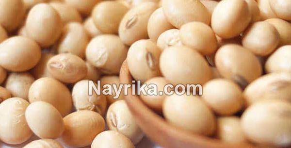 عکس سویا ماکارونی