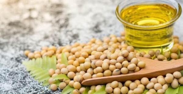عکس از روغن سویا