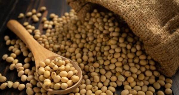 عکس از روغن سویا