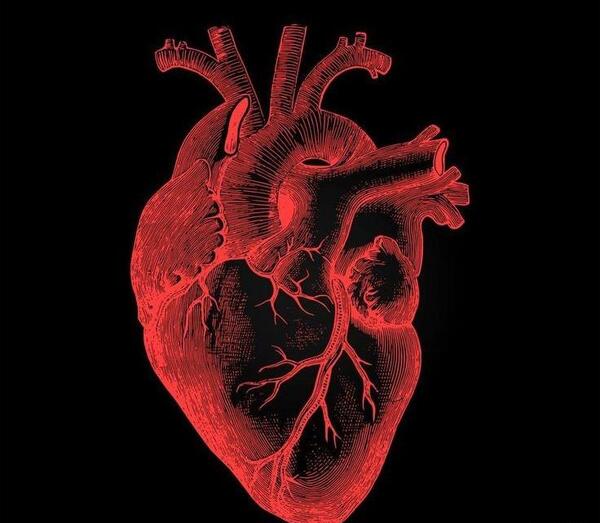 عکس بک گراند قلب