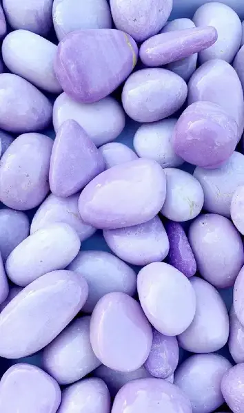 عکس پس زمینه یاسی