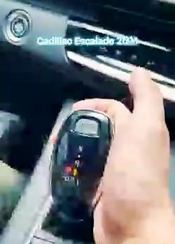 عکس پاتریک و باب اسفنجی واقعی