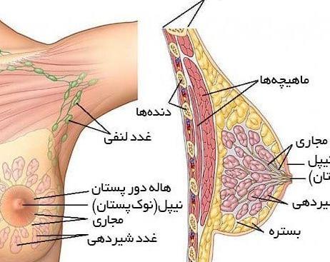 عکس در مورد سرطان