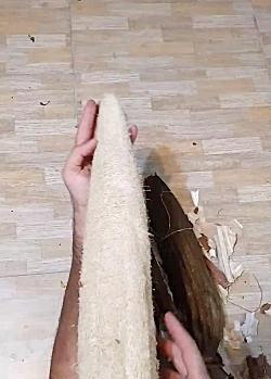 عکس باب اسفنجی عروسکی