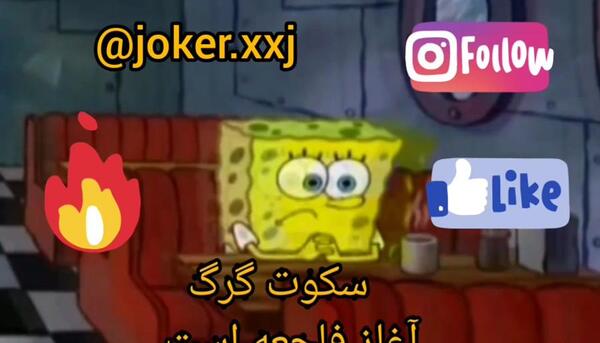 عکس باب اسفنجی لات