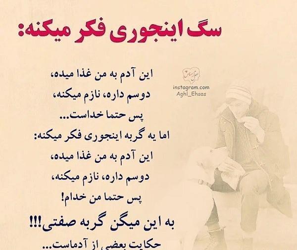 عکس نوشته نمک نشناسی فامیل